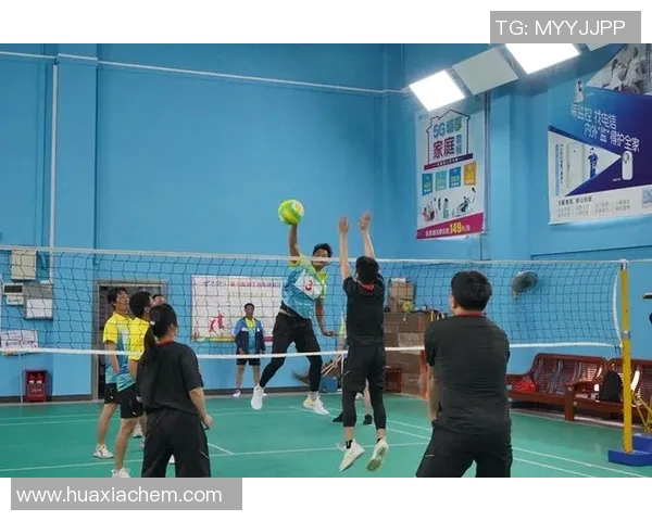 浙江队对决米纳斯队激情四溢的排球盛宴即将上演